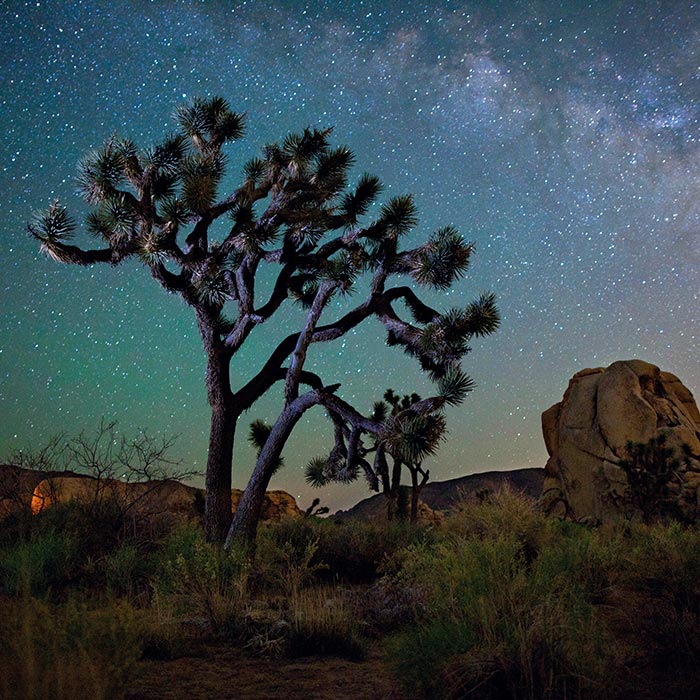 14. The Desert Night Sky