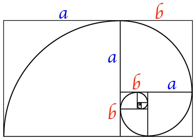 Golden spiral. The golden spiral, developed by Fibonacci.