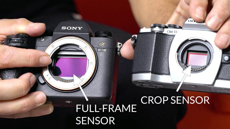 Comparing sensor size on full-frame and crop sensors.