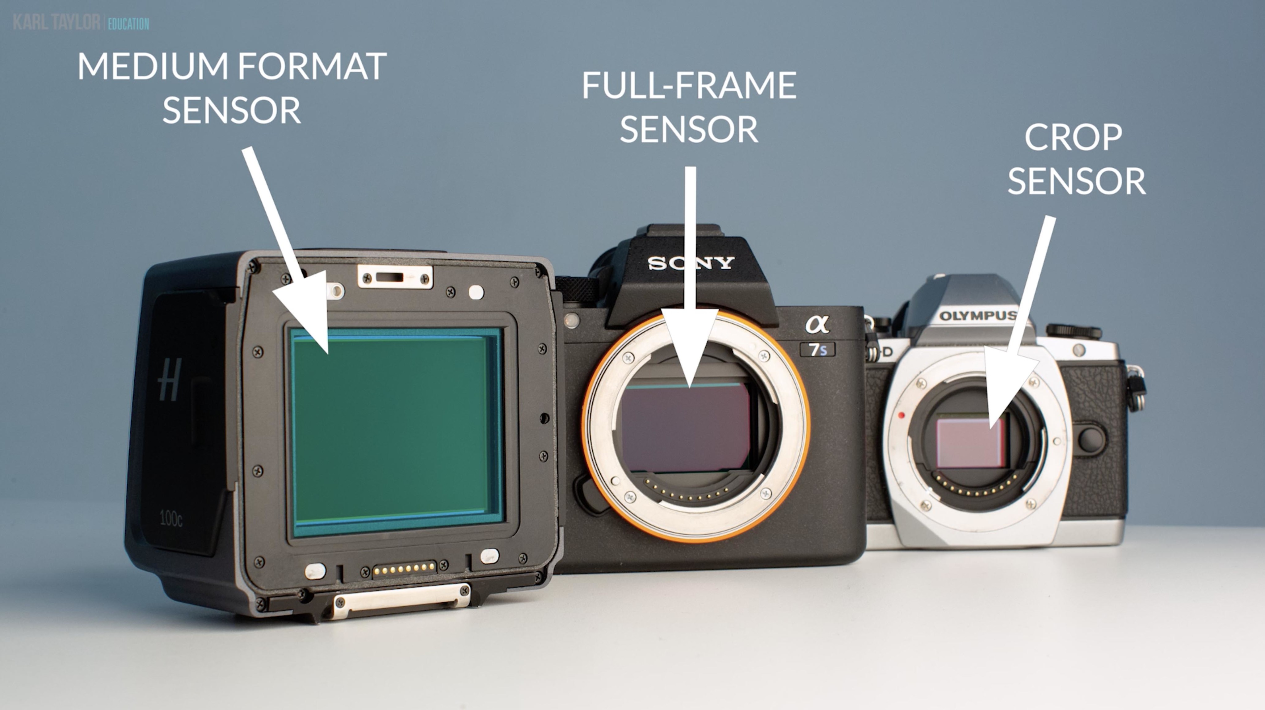 What To Consider When Buying a Camera: DSLR, Mirrorless, Medium Format, Full Frame, Crop Sensor?
