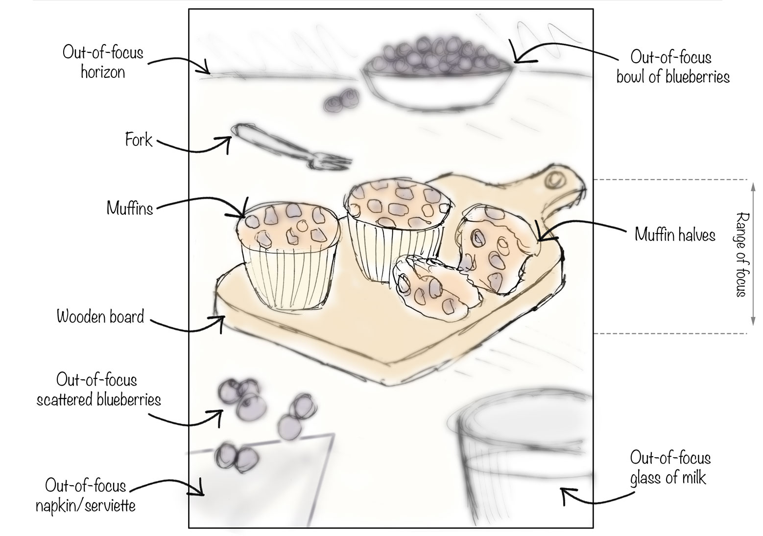 Art director's sketch of the blueberry muffin brief