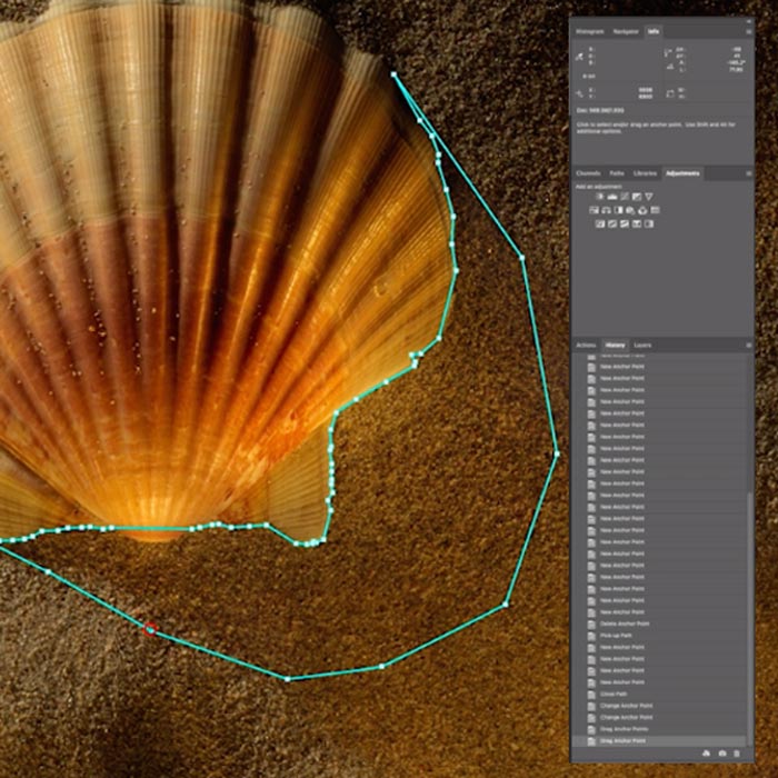 Wall Art Shells: Imitating Golden Hour in the Studio | Post-Production