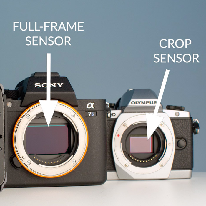 Featured image for “Full-Frame vs Crop Sensor: What’s the Difference and Which is Better?”