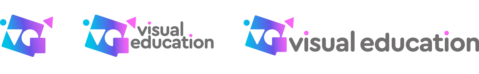 Visual Education Logo Variations