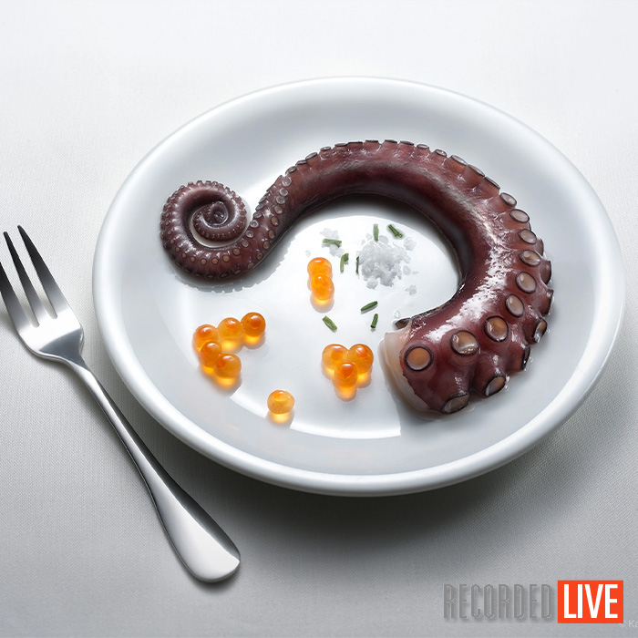 Precise One-Light Still Life – Member’s Choice Photoshoot